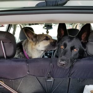 Meet your Posher, Trish